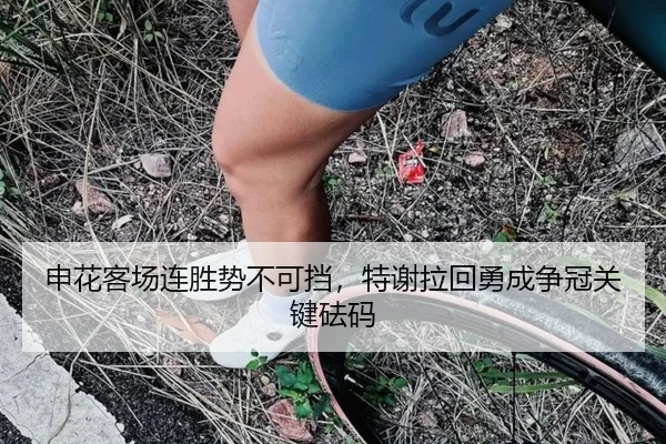 申花客场连胜势不可挡，特谢拉回勇成争冠关键砝码