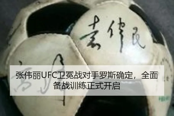 zhang-wei-li-wei-mian-zhan-dui-shou-luo-si-que-ding-quan-mian-bei-zhan-xun-lian-zheng-shi-kai-qi-3-627.jpg