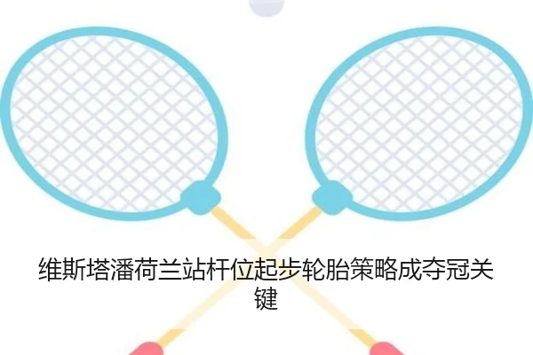 维斯塔潘荷兰站杆位起步轮胎策略成夺冠关键
