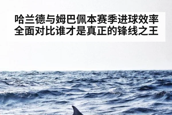 哈兰德与姆巴佩本赛季进球效率全面对比谁才是真正的锋线之王