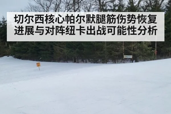 切尔西核心帕尔默腿筋伤势恢复进展与对阵纽卡出战可能性分析